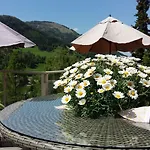 酒店 Wohlfuehl & Genusshotel Felsenhof 4*