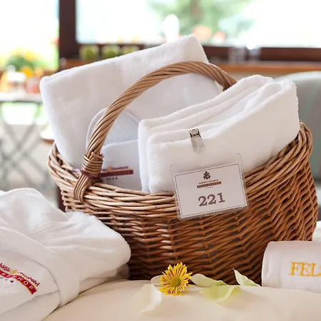 Wohlfuehl & Genusshotel Felsenhof