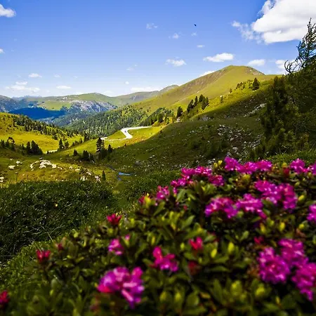 Otel Wohlfuehl & Genusshotel Felsenhof