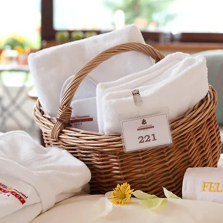 Hotel Wohlfuehl & Genusshotel Felsenhof 4*