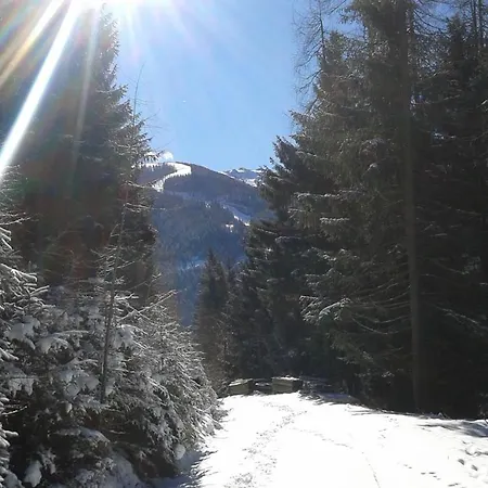Wohlfuehl & Genusshotel Felsenhof Bad Kleinkirchheim
