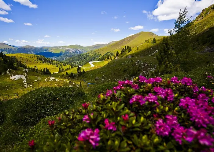 Hotel Wohlfuehl & Genusshotel Felsenhof