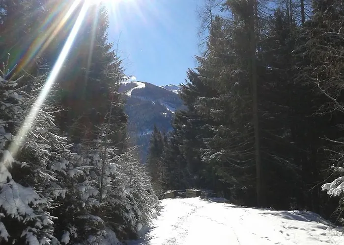 Wohlfuehl & Genusshotel Felsenhof Bad Kleinkirchheim
